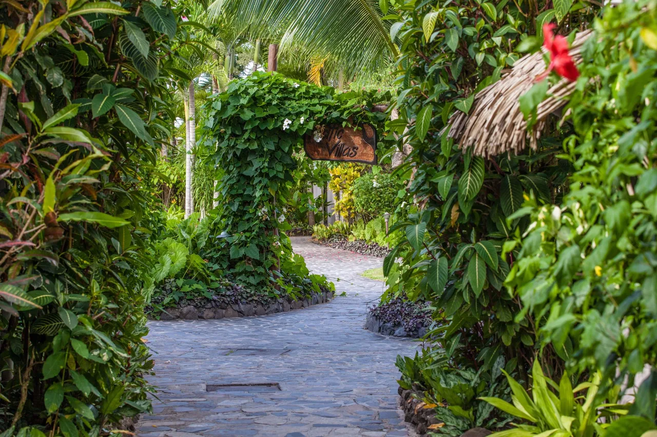 Pacific Resort Rarotonga — rooms and atmosphere