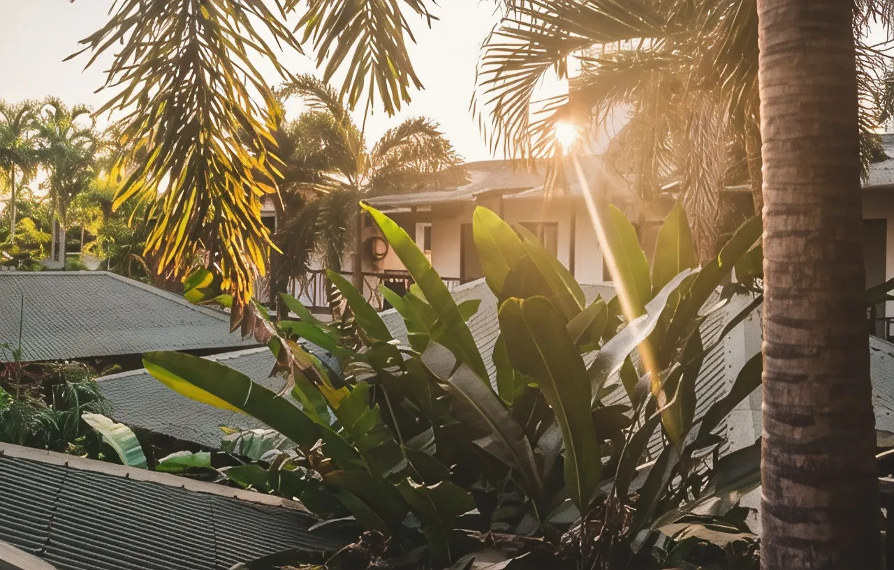 Palms City Resort — rooms and atmosphere