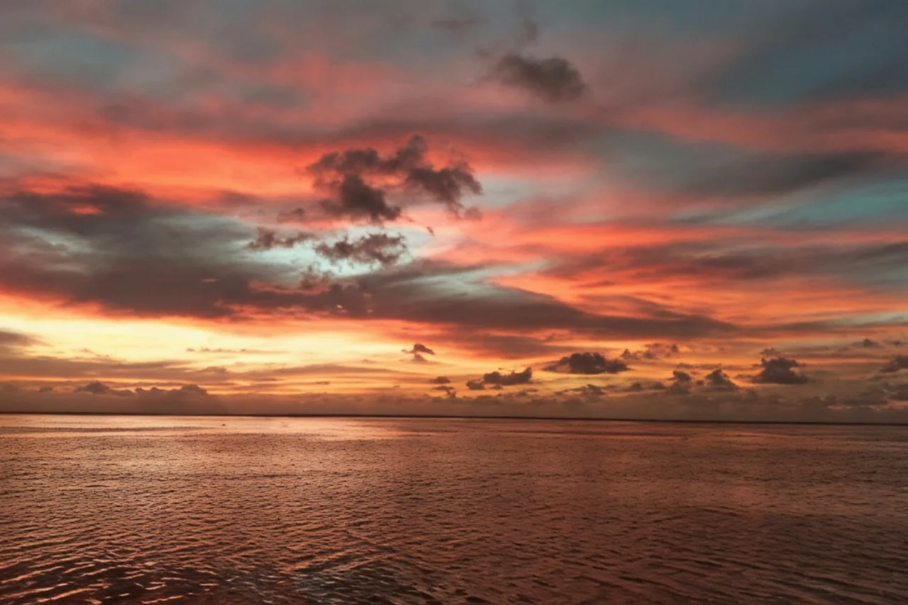 Paradise Cove Aitutaki — ภาพห้องพักและบรรยากาศ
