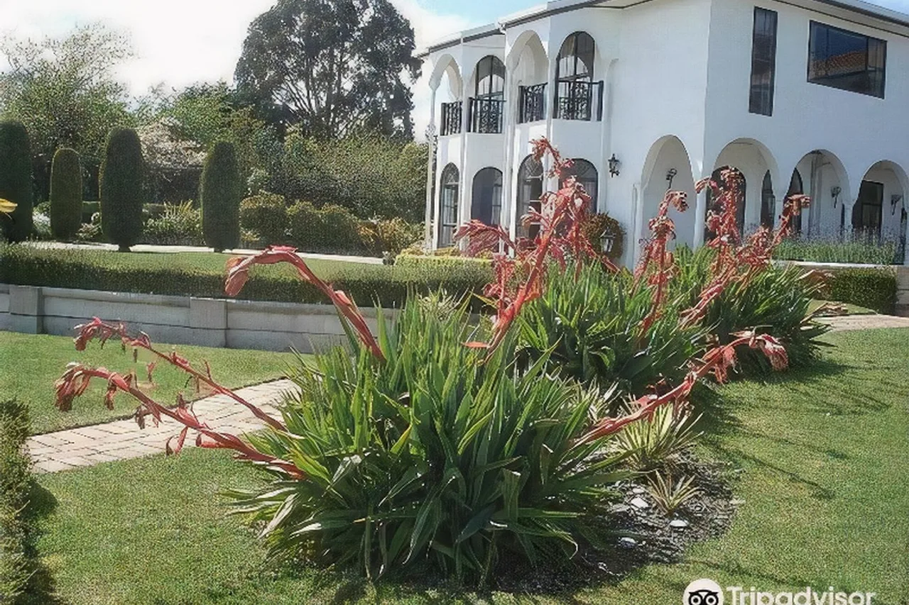 Pillars Hotel Taupo — rooms and atmosphere