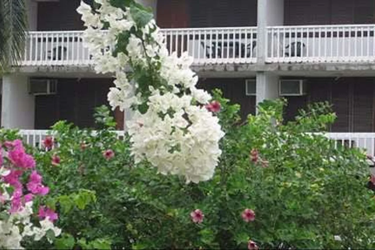 Portsmouth Beach Hotel — ภาพห้องพักและบรรยากาศ