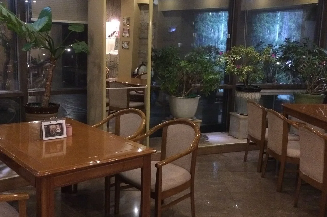 Pyongyang Hotel — rooms and atmosphere