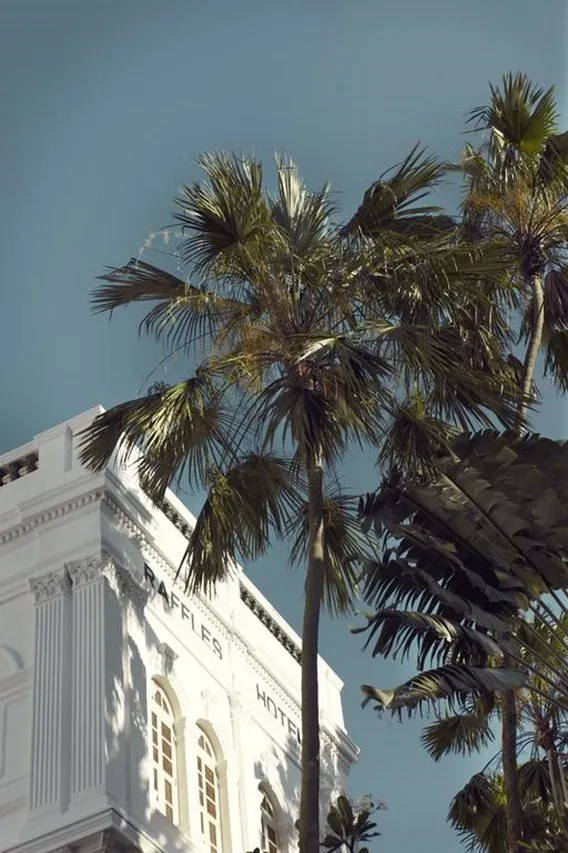 Raffles Hotel Singapore — ภาพห้องพักและบรรยากาศ