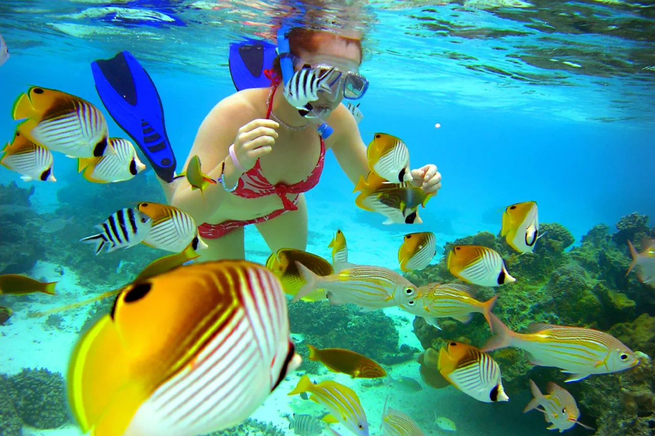 The Rarotongan Beach Resort &amp; Lagoonarium — rooms and atmosphere