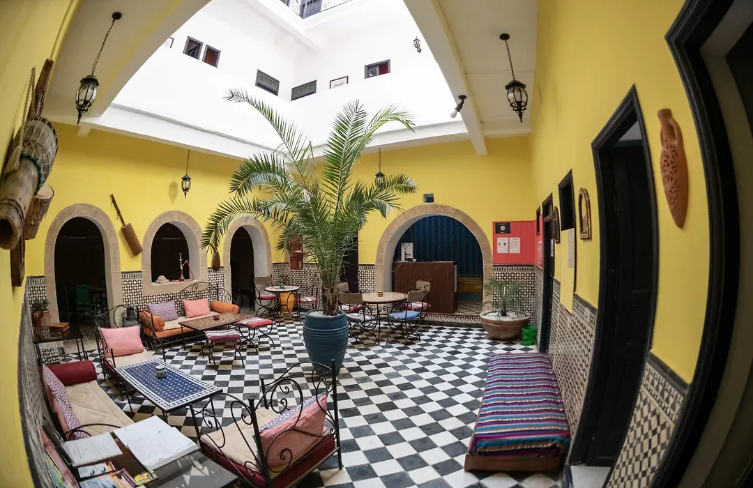 Riad Sidi Magdoul — เอสเซาอิรา