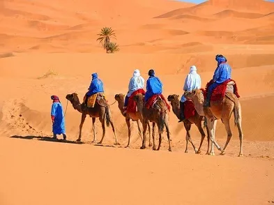 Sahara Sky Luxury Camp — ภาพห้องพักและบรรยากาศ