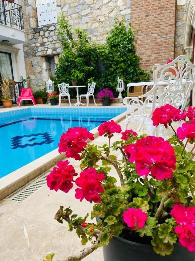 Saint John Hotel — rooms and atmosphere