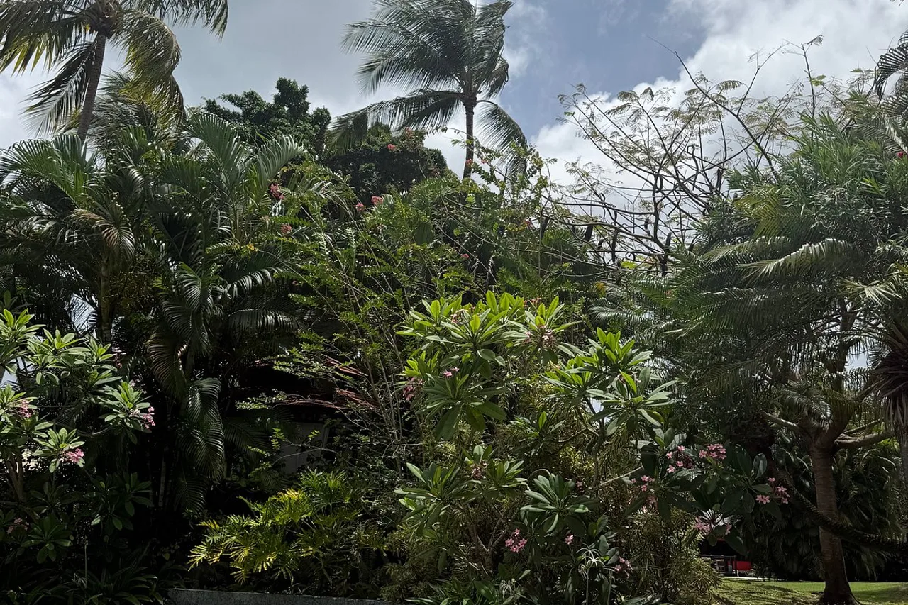 Sandals Halcyon Beach — rooms and atmosphere