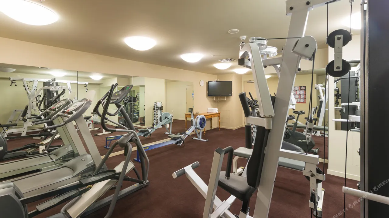 Scenic Hotel Dunedin City — rooms and atmosphere