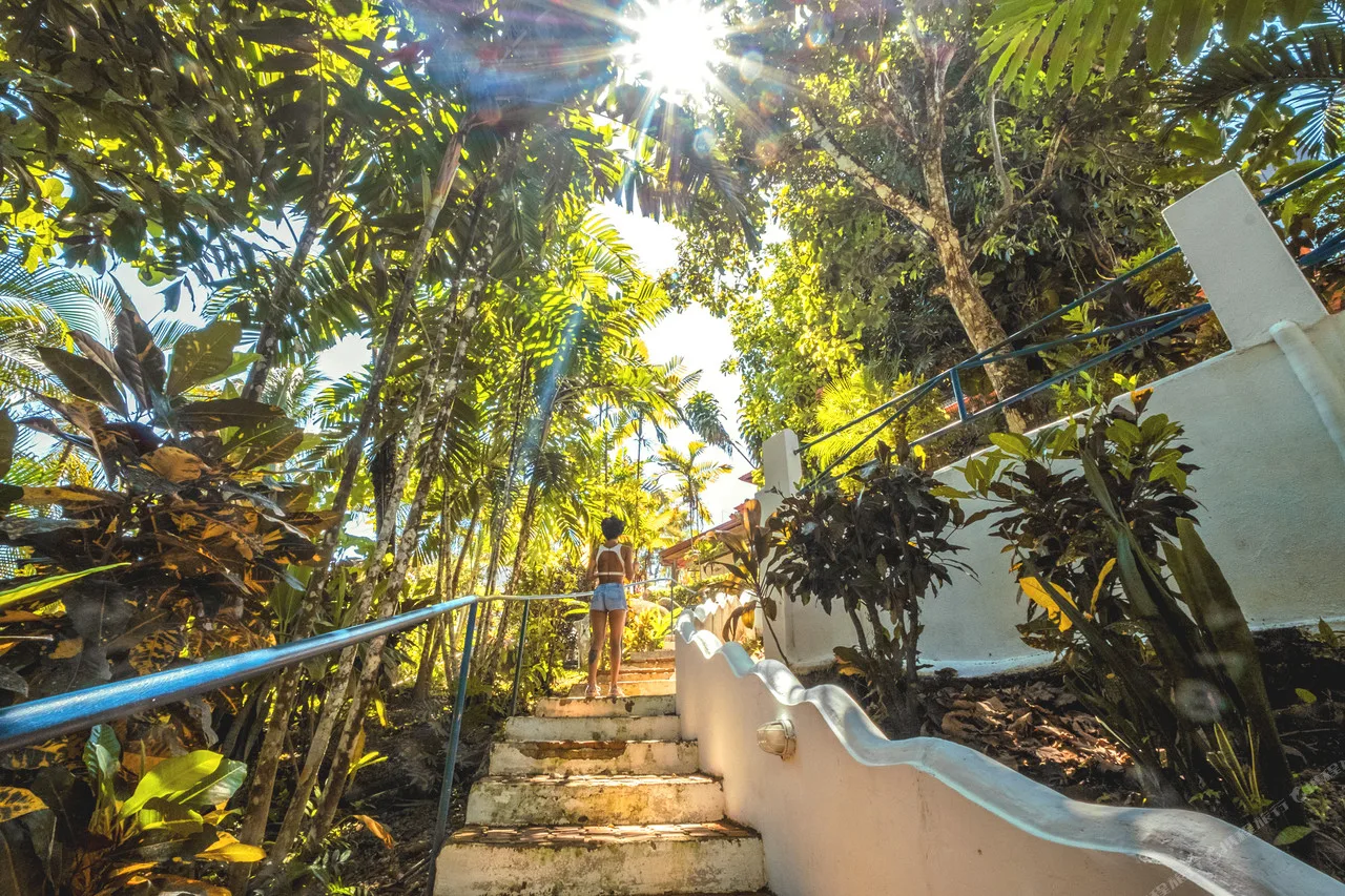 Selina Manuel Antonio — ภาพห้องพักและบรรยากาศ