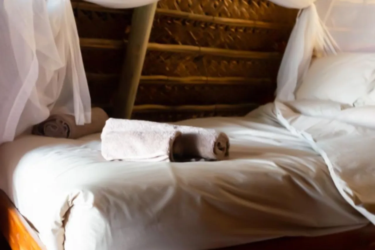 Singila Ocean Lodge — ภาพห้องพักและบรรยากาศ