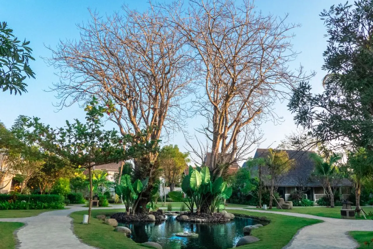 Sudamala Resort, Komodo, Labuan Bajo — rooms and atmosphere