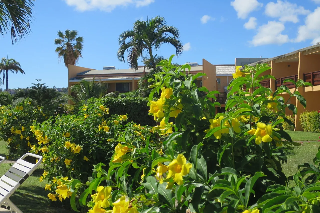 Sugar Bay Club Suites & Hotel — ภาพห้องพักและบรรยากาศ