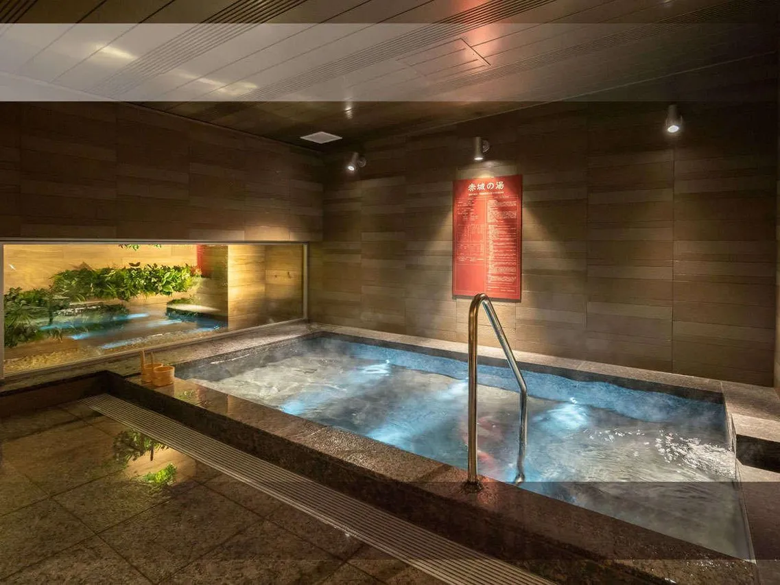 Super Hotel Saitama Kawagoe — rooms and atmosphere
