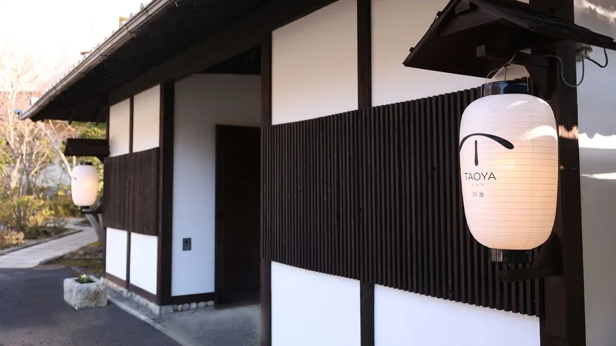 TAOYA Kawaji — นิกโก