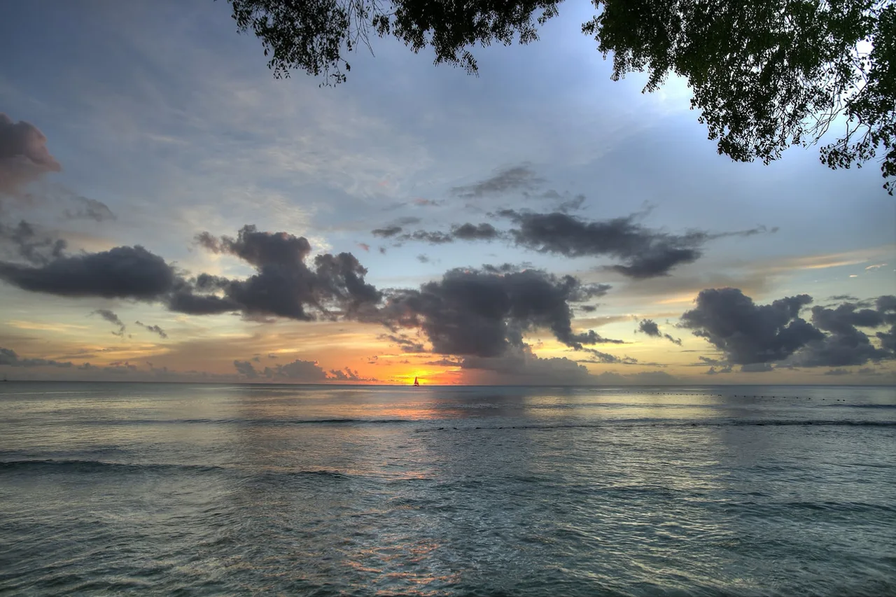 The Club Barbados Resort & Spa - Adults Only All-Inclusive — ภาพห้องพักและบรรยากาศ