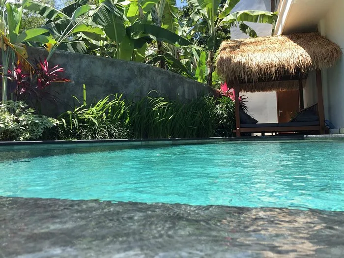 The Farm Hostel — ภาพห้องพักและบรรยากาศ