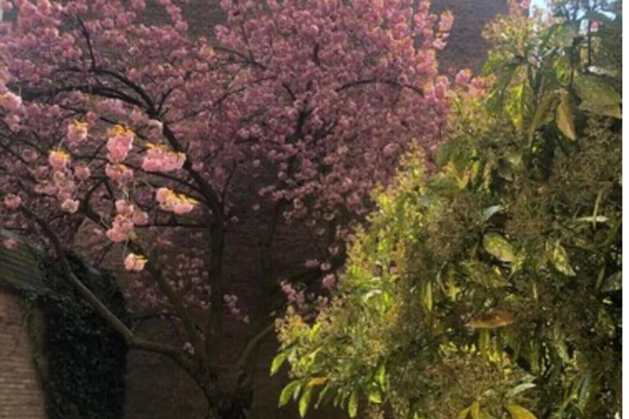 The Ghent Belfort Hotel — rooms and atmosphere