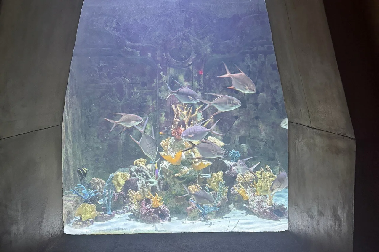 The Royal at Atlantis — rooms and atmosphere