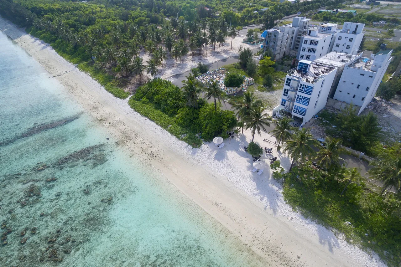 The White Harp Beach Hotel — rooms and atmosphere