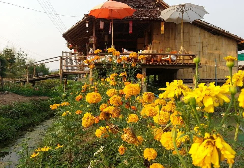 Tulip Resort Pai — ภาพห้องพักและบรรยากาศ