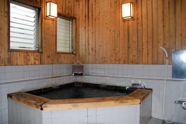 Turtle Inn Nikko — ภาพห้องพักและบรรยากาศ