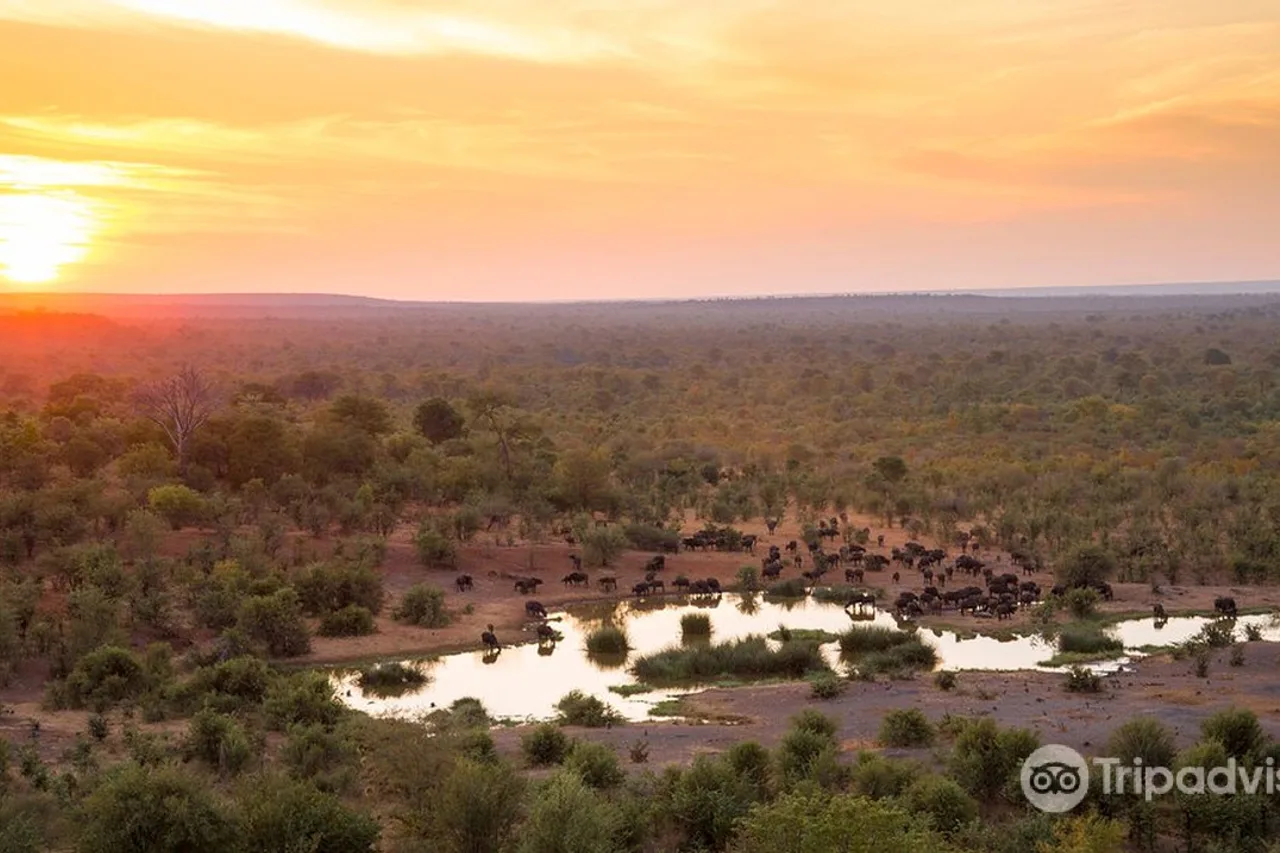 Victoria Falls Safari Lodge — ภาพห้องพักและบรรยากาศ