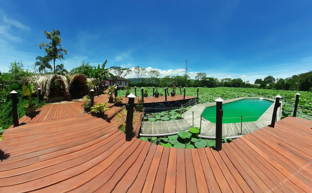 ViewPoint Ecolodge — ภาพห้องพักและบรรยากาศ