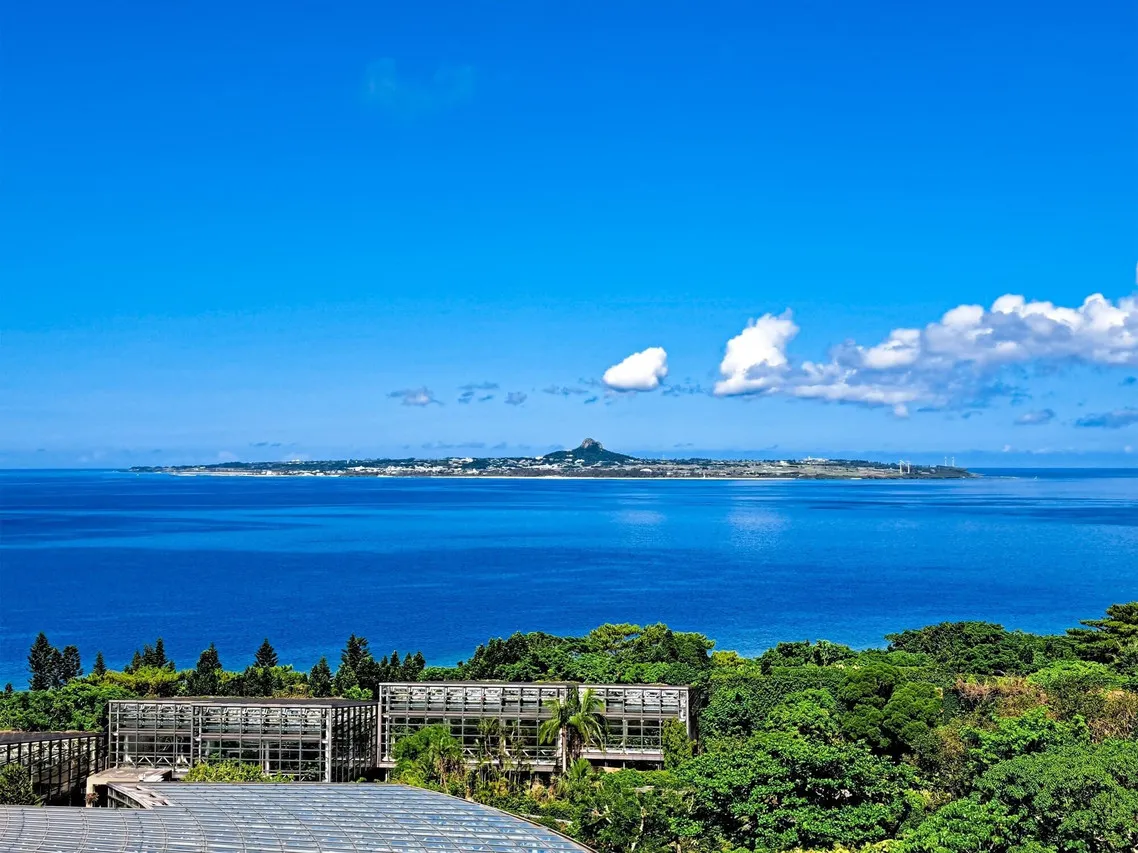 Wisteria Condominium Resort — rooms and atmosphere