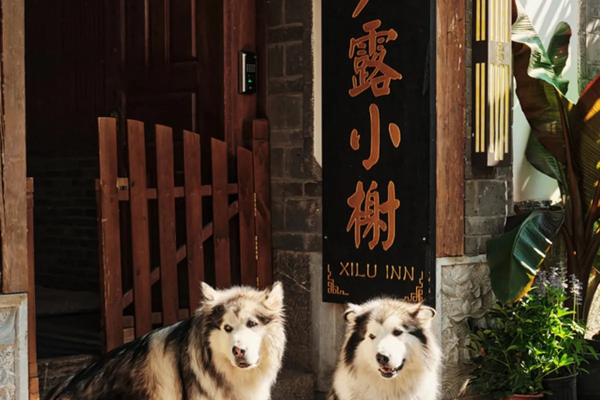 Xilu Xiaoxie Inn Lijiang — rooms and atmosphere