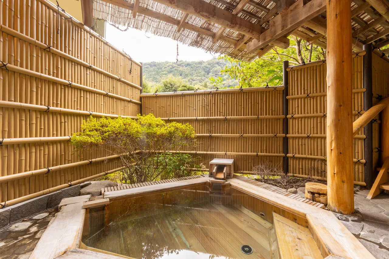 Yoshiike Ryokan — rooms and atmosphere
