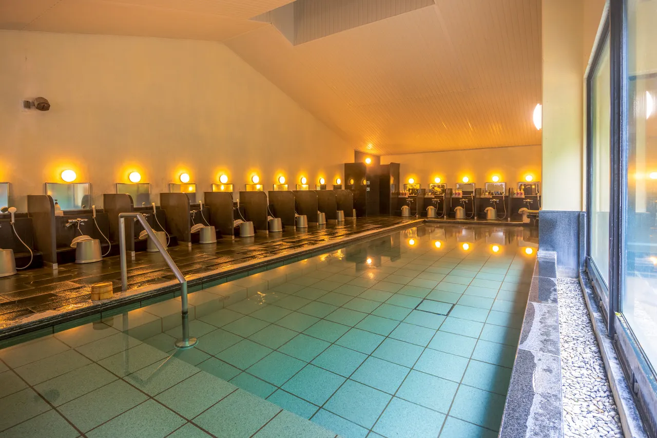 Yumoto Fujiya Hotel — rooms and atmosphere