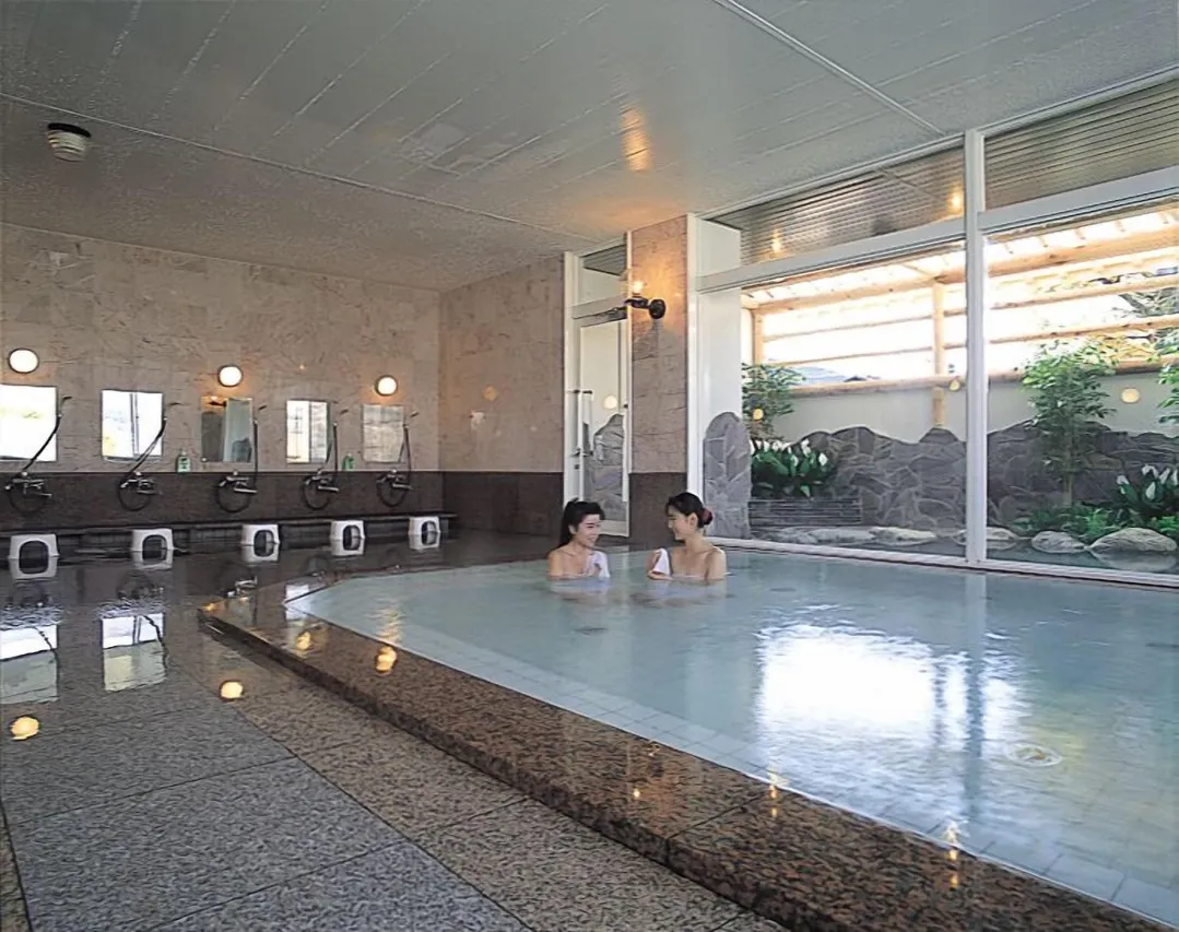 Hotel Yuzawa Denkiya — rooms and atmosphere