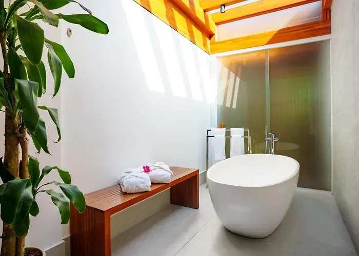 Zendaya Resort Beach Sport & Spa — ภาพห้องพักและบรรยากาศ