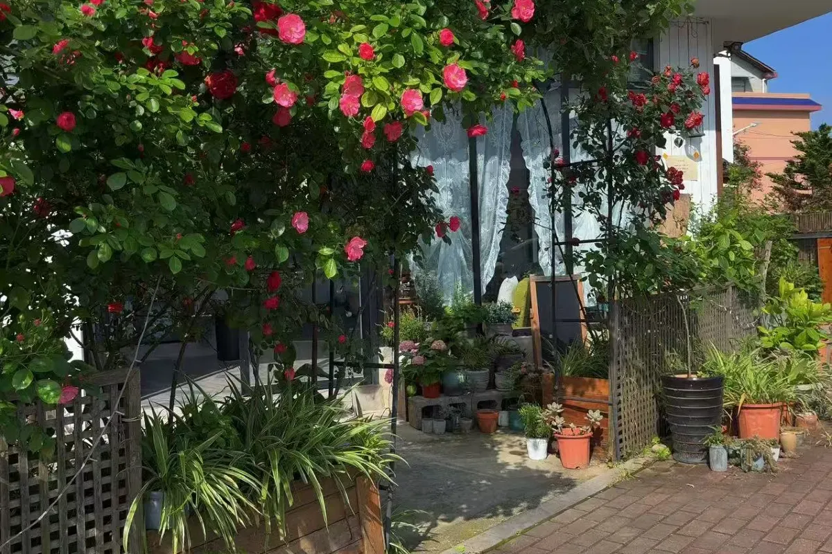 Zhangjiajie Zhijue Art Guest House — rooms and atmosphere