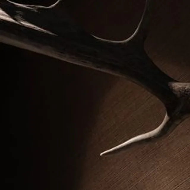 The Ledbury – พิราบบ่มฟาง (hay-aged pigeon) ในลอนดอน