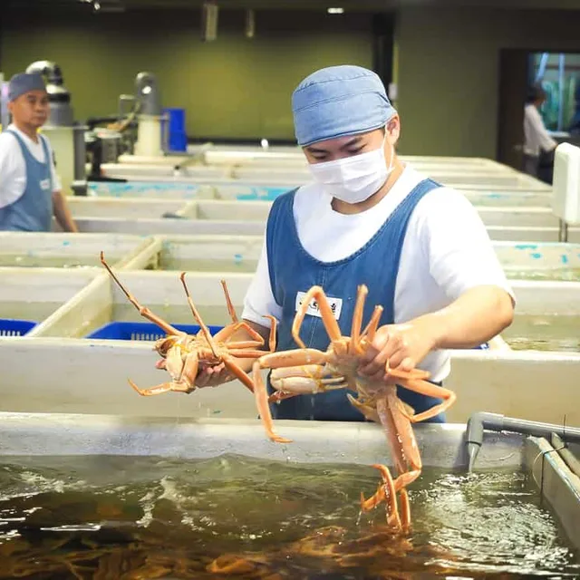 ตลาดปลาสด Addiction Aquatic Development – เซ็ตนิกิริซูชิ ในไทเป
