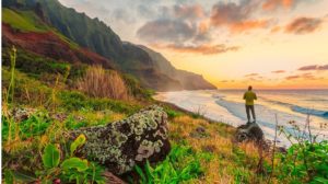 โรงแรม ที่พัก โฮโนลููลู Honolulu ฮาวาย Hawaii topofhotel 650 x 365