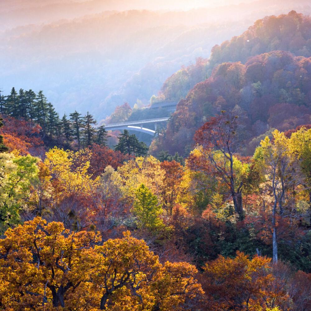 Akita-japan-topofhotel | TOP OF HOTEL อันดับสุดยอดโรงแรมทั่วโลก